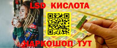 шишки Новодвинск