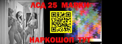 шишки Новодвинск