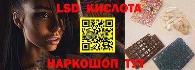шишки Новодвинск