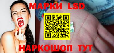 гидропоника Новозыбков