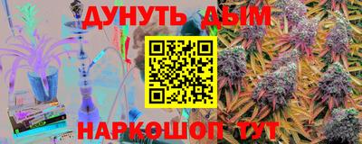 шишки Новодвинск