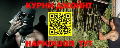 гидропоника Новозыбков
