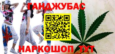 шишки Новодвинск