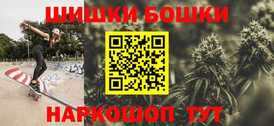 шишки Новодвинск