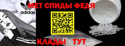 шишки Новодвинск