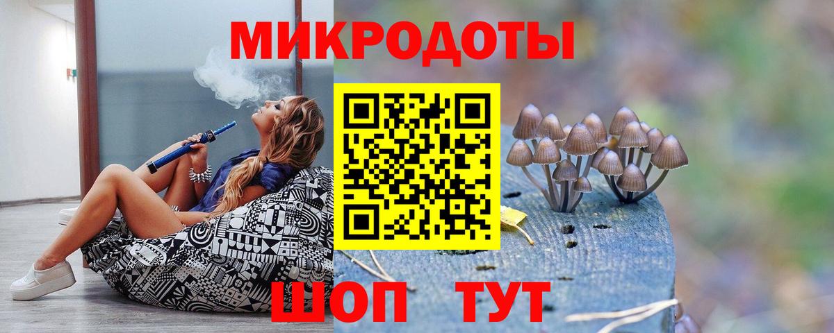 Псилоцибиновые грибы MAGIC MUSHROOMS Северобайкальск